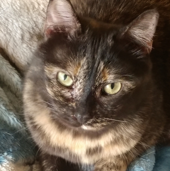 MEET MY KIDS! - Picture 9 of 10